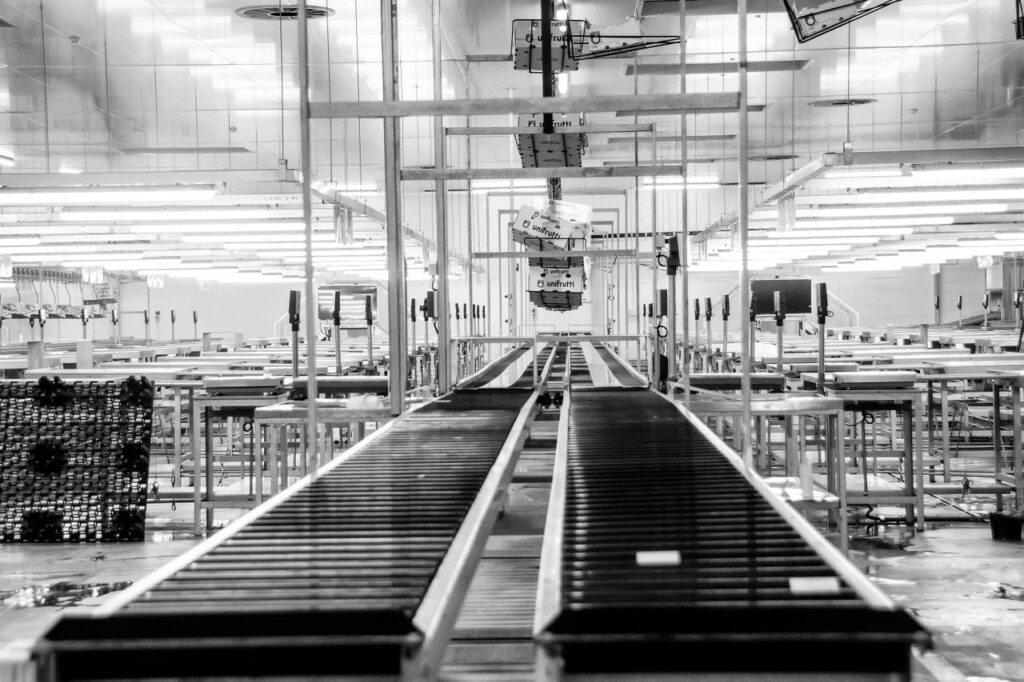 Switches and Sensors for Packaging Automation: What You Need to Know